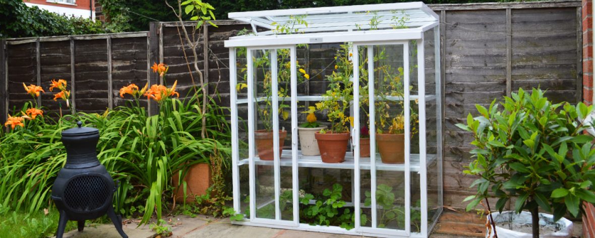 White Hartley Botanic Patio Glasshouse