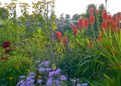Summer into autumn as it should be.
